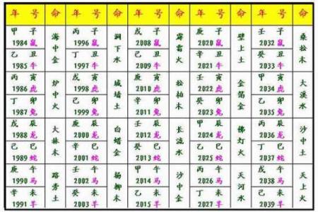 八字纳音五行解析