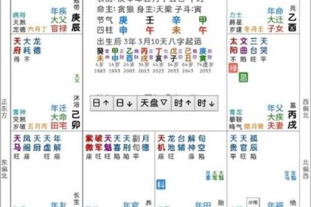 紫微斗数排盘流年 紫微斗数排盘流年盘怎么看？